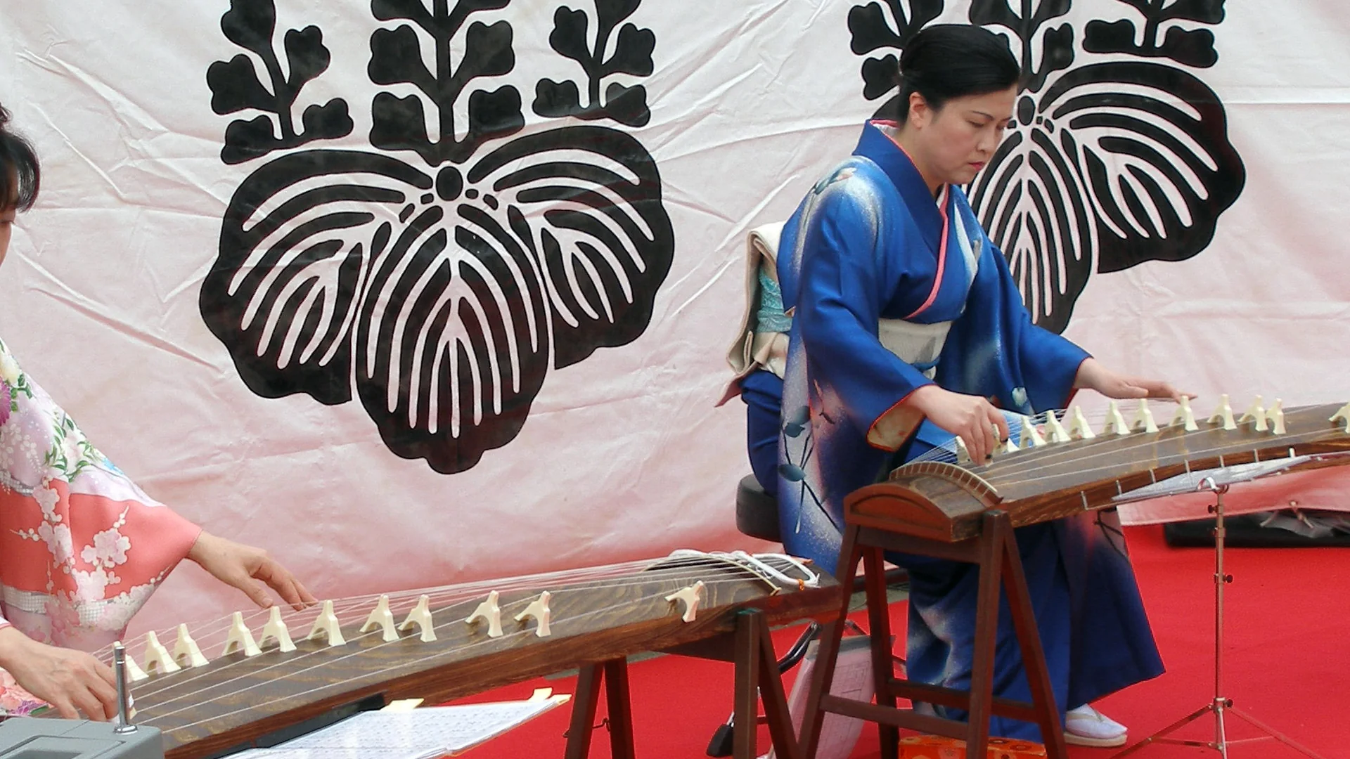 A koto player in a blue kimono plucks the strings of a long koto on trestle stands, with a second koto in the foreground and a white banner behind her