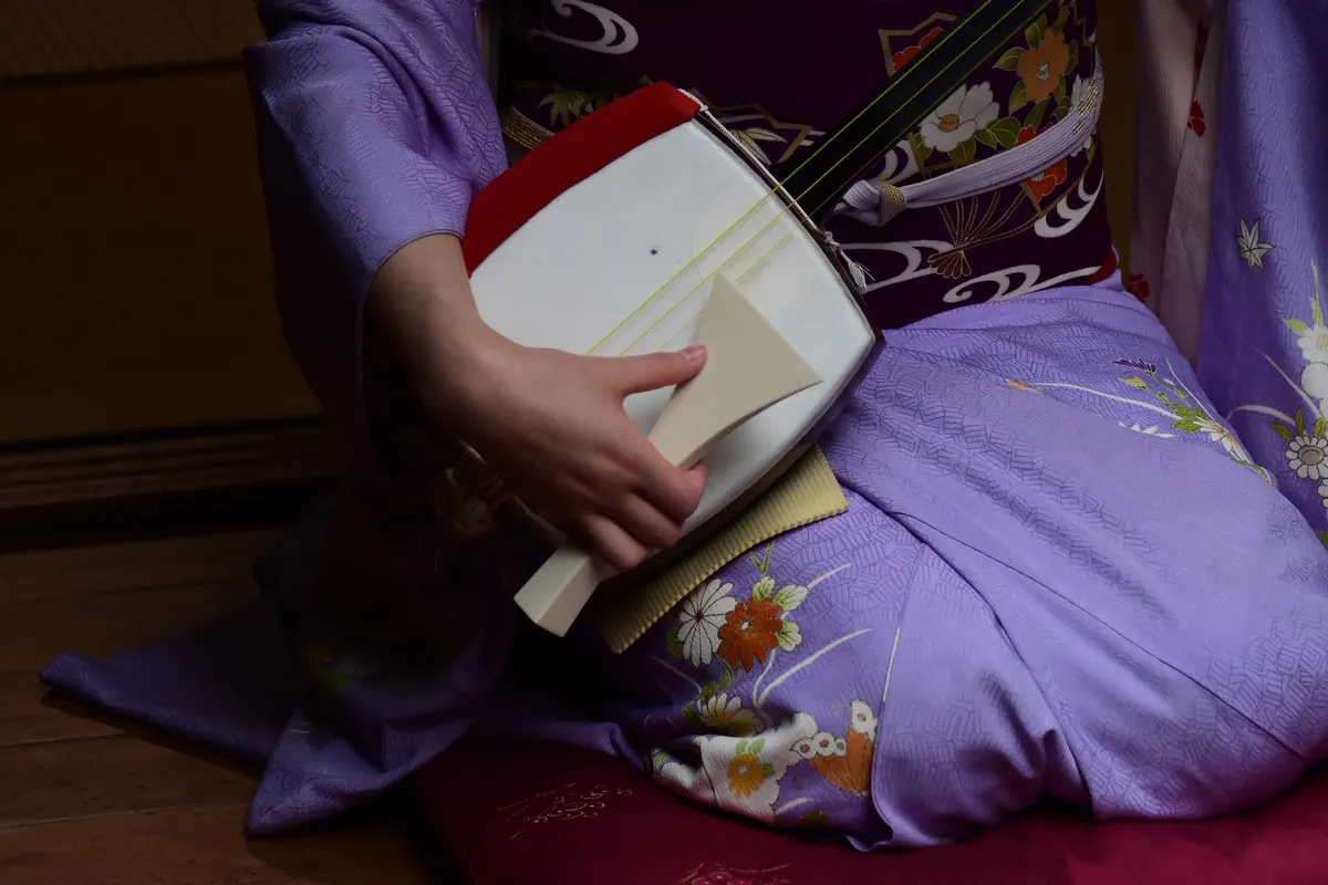 A Kyoto geiko in a lilac kimono seated on a cushion, her right hand holding the bachi plectrum against the skin-covered body of a shamisen